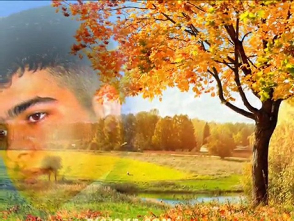 Rapcato-Yoluma taş koysalar