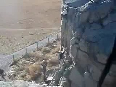 0421 - Chute en escalade