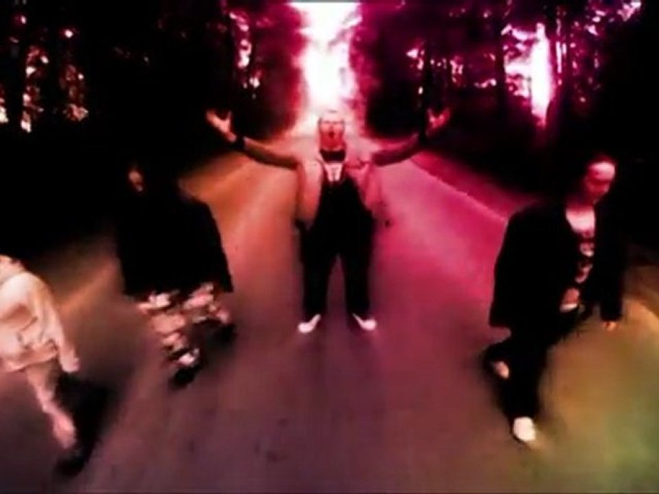 Bill Skins Fifth - "Falsemation" (2011)