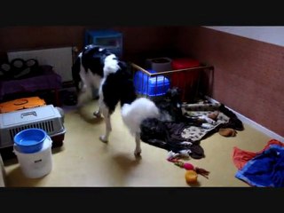 dimanche matin pluvieux