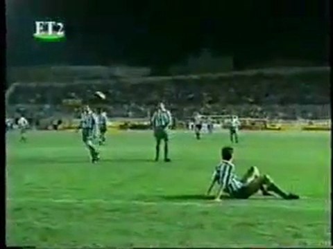 ARIS-pao 1-1 (1995-96)