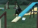 Rottweiler - entrainement agility balzac