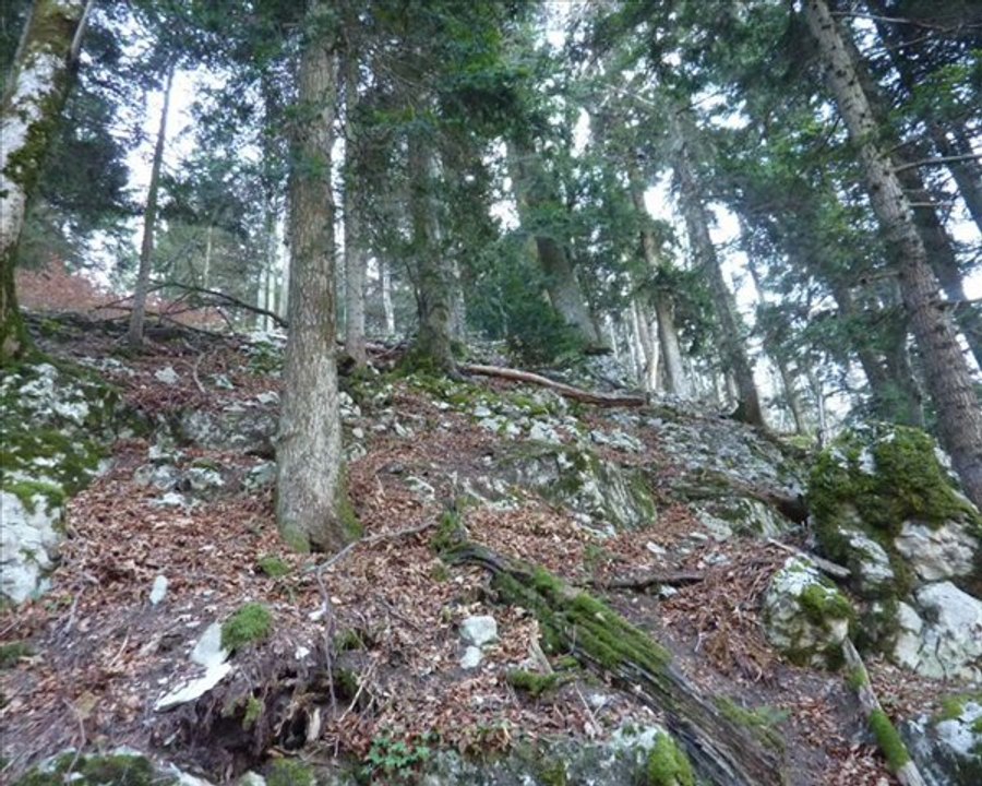 Chartreuse du val Sainte Marie  (Vercors centre)