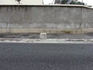 [SLOW MOTION] boneless 180