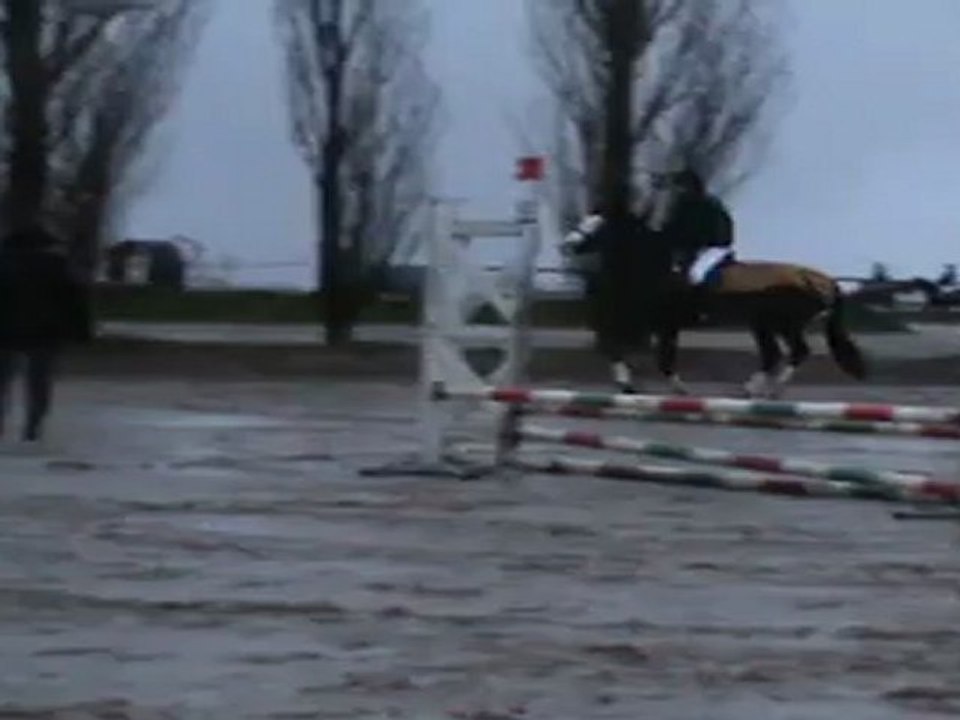 Détente paddock 4