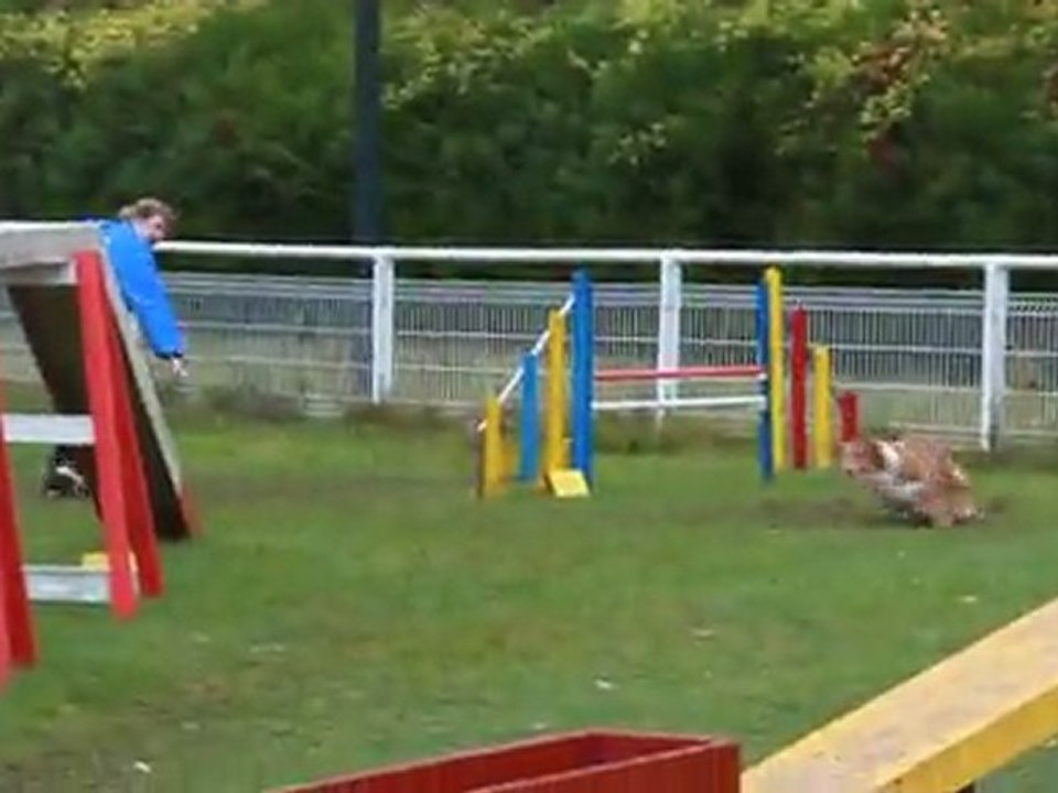 Agility Chantilly Balzane GPF