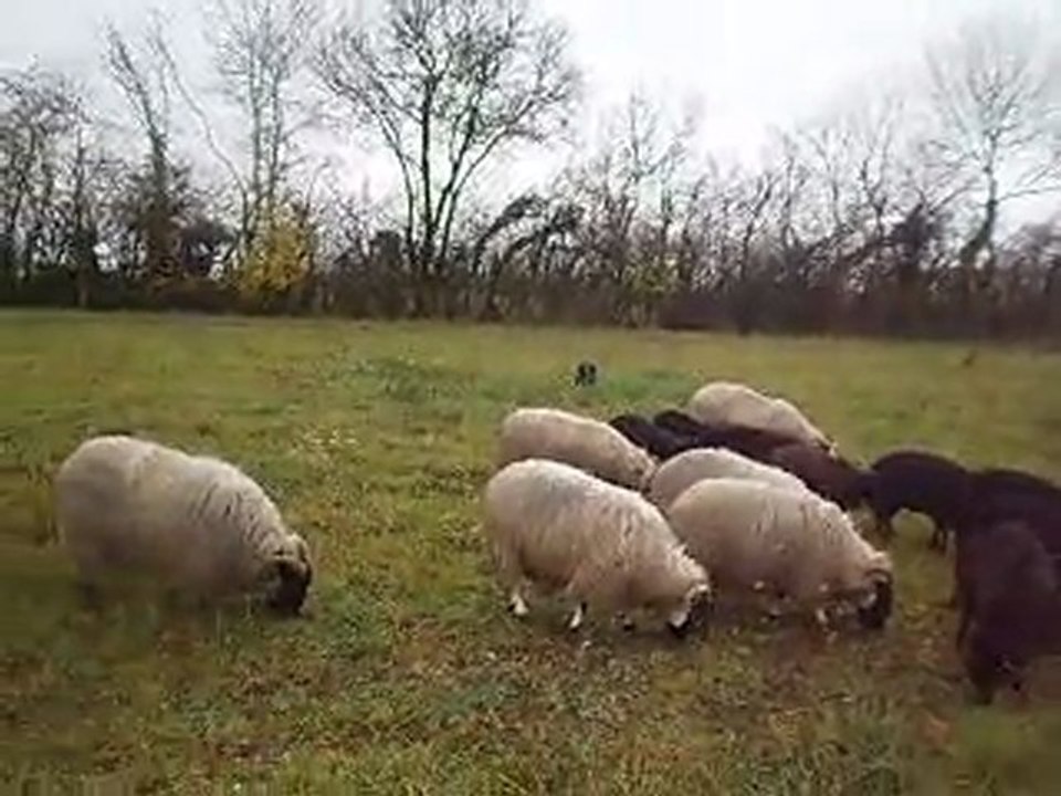 Fetch direction 1