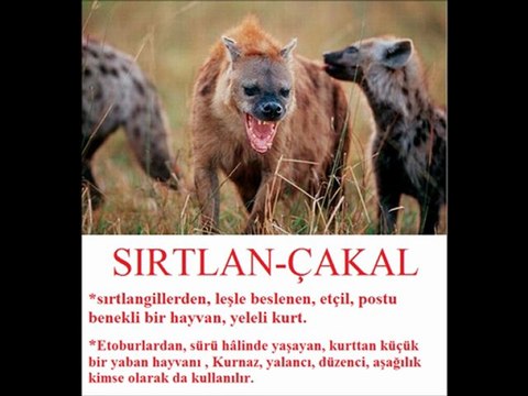 Kafkas Çeçen Yardımlaşma ve Dayanışma Derneği - Ahmet Kıyak