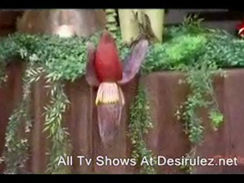 Mastercheff India 4th Dec 11 Pt1