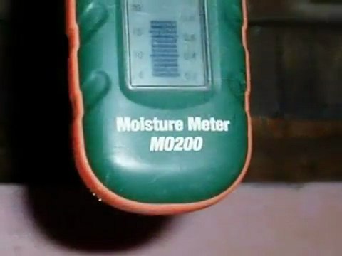 King of the House: Whatcom County Home Inspector Anobiid Beetles