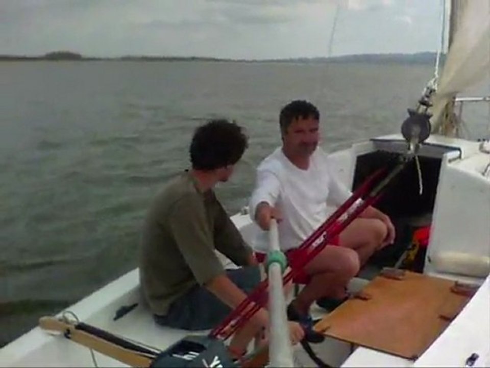 Maraudeur sur l'étang de Bages