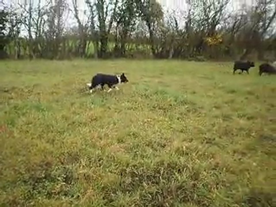 Fetch pousse et directions