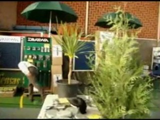 Expo chez GUIDEZ Christophe le 2-3-4 décembre 2011