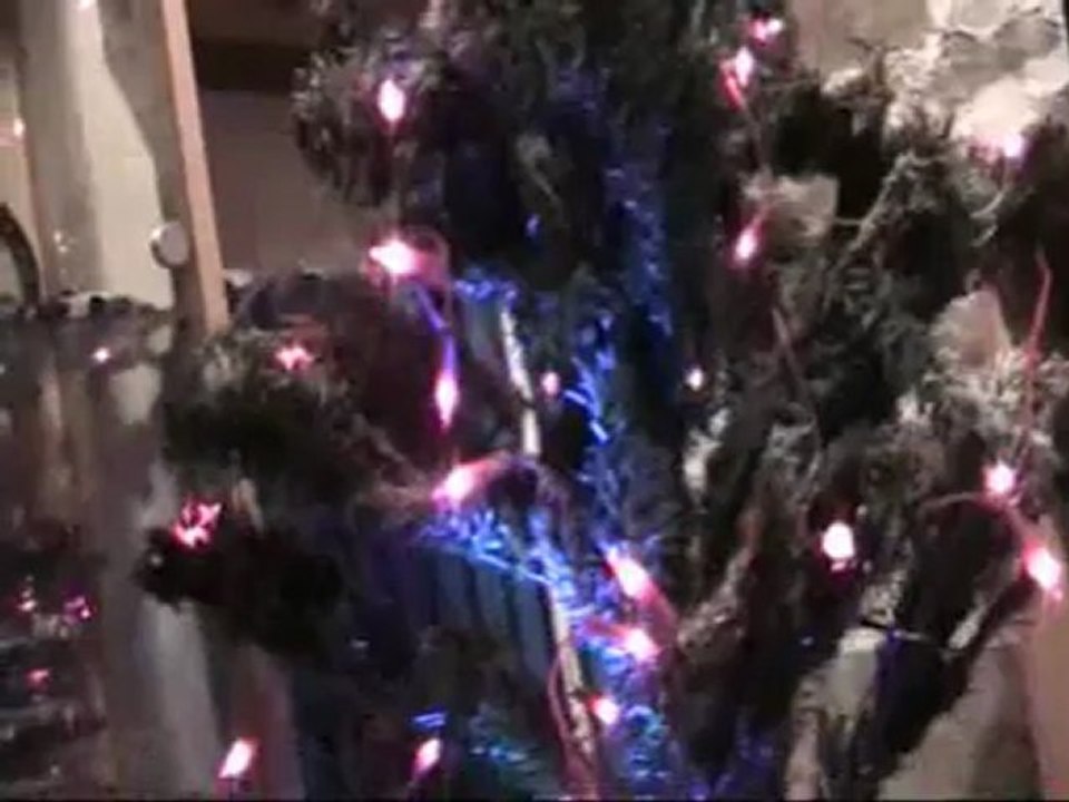 sapin de nonoel edition 2011