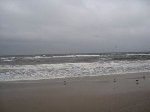 Moje wspomnienia z wakacji(720p_H.264-AAC)