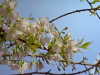 Música de Natal - A Encarnação do Verbo de Deus - Paiva Netto