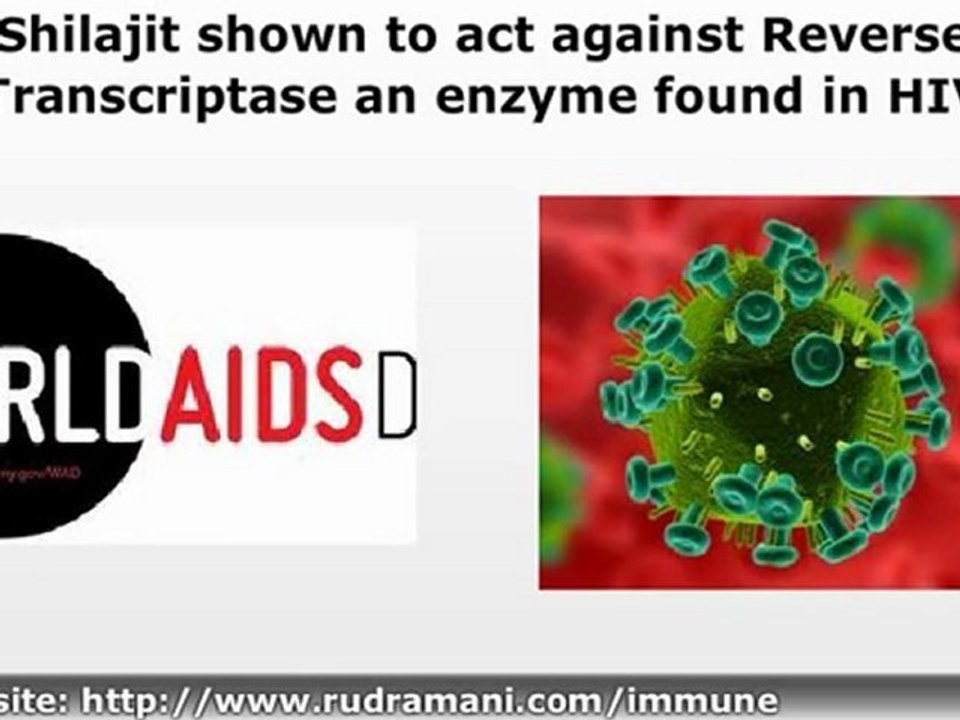 SHILAJIT in HIV/AIDS Therapy and Possible Prevention