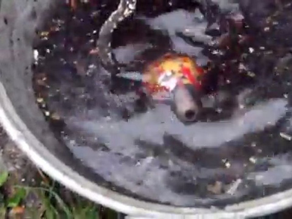 RAKU MYRIAM 4 12 2011