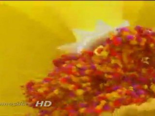 ID de El trece HD - 2011