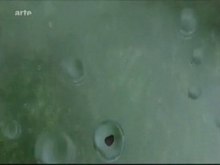 En savoir plus sur les nuages