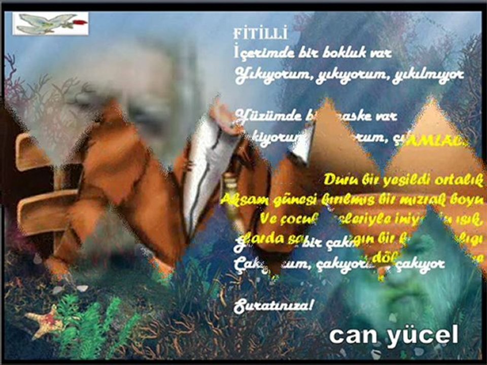 volkan konak eşliğinde can yücel görselleri