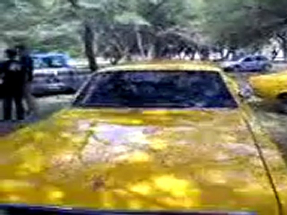 MOV6173703