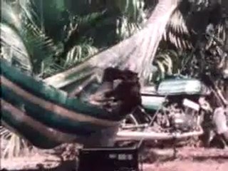 One Love Peace Concert 1978 (Part 4 of 6)