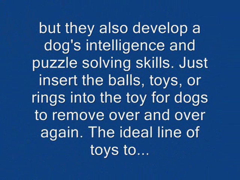 Kyjen Hide-A-Squirrel Puzzle Toy for Dogs