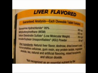 Nutramax Dasuquin with MSM for Large Dogs - 150 Tablets