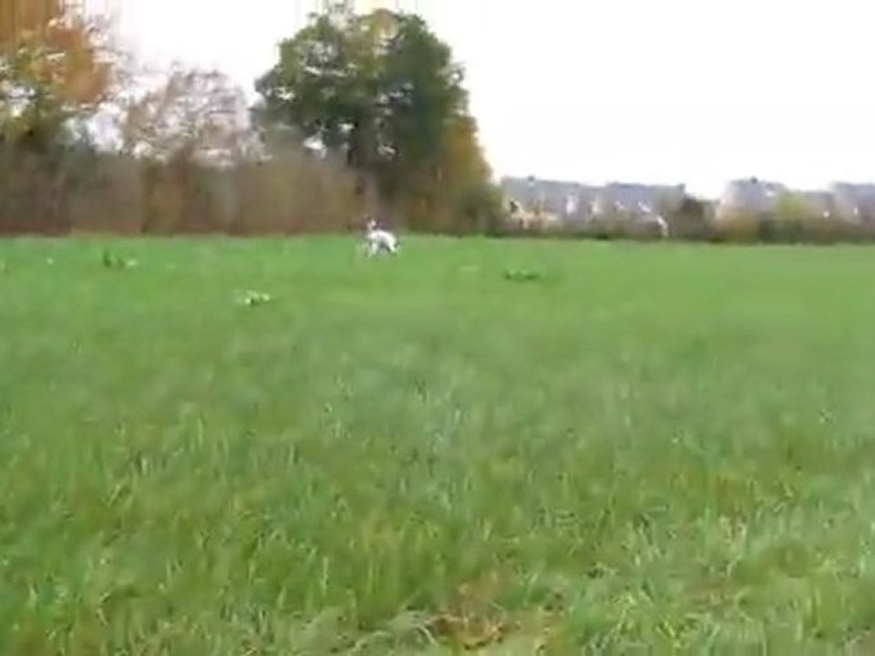 balade matinale