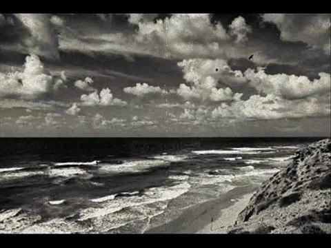 David Hallyday, tu ne m'as pas laissé le temps chanté par angie