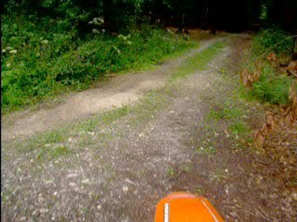 Cross dans la foret