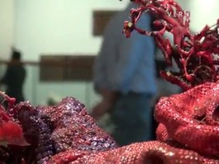 NADA Miami Beach Art Fair 2011