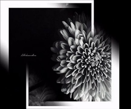 Asım YILDIRIM(Ayrılık)