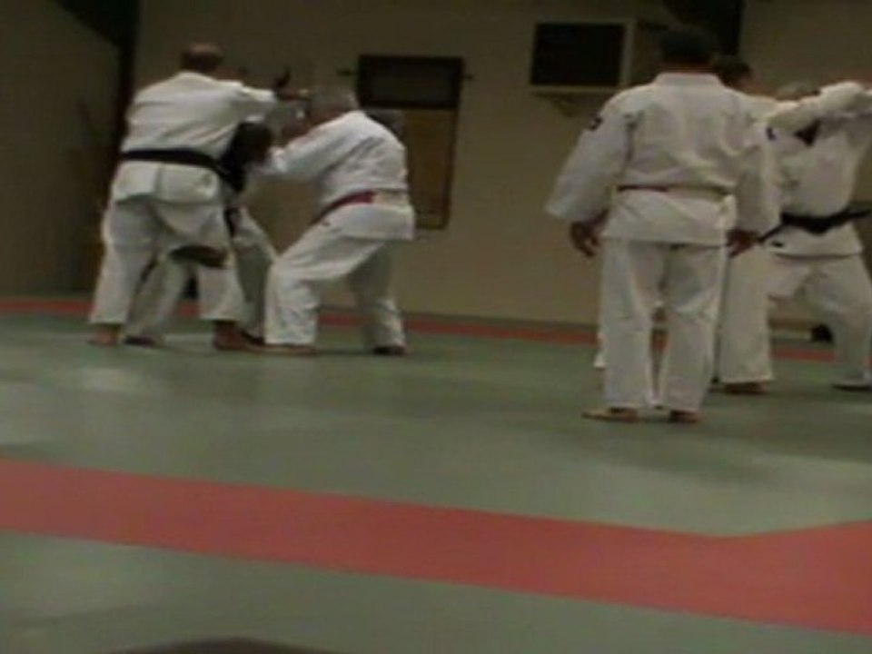 explication du nage no kata