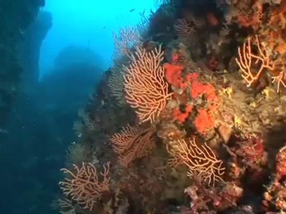 Cinéma de la mer
