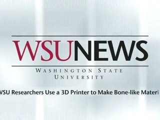 WSU Researchers Use a 3D Printer to Make Bone-like Material