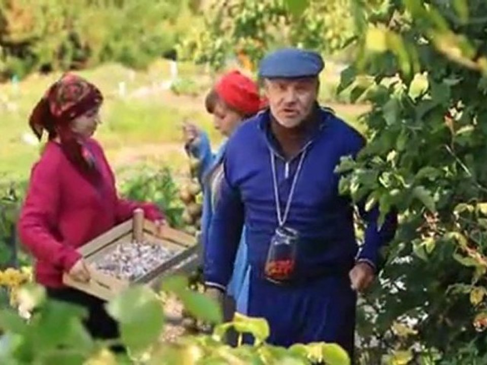 Обратный отсчёт. Фазенда по-советски или заветные сотки
