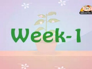 Learn about Plants in Hindi - Photosynthesis Experiment 2