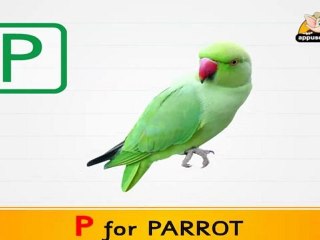 Flashcards for children  - My ABC