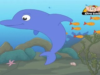 Animal Sounds in Marathi - Dolphin