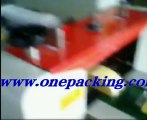 plastic cleaning boll packing machine[2012 top sell packaging machinery ]