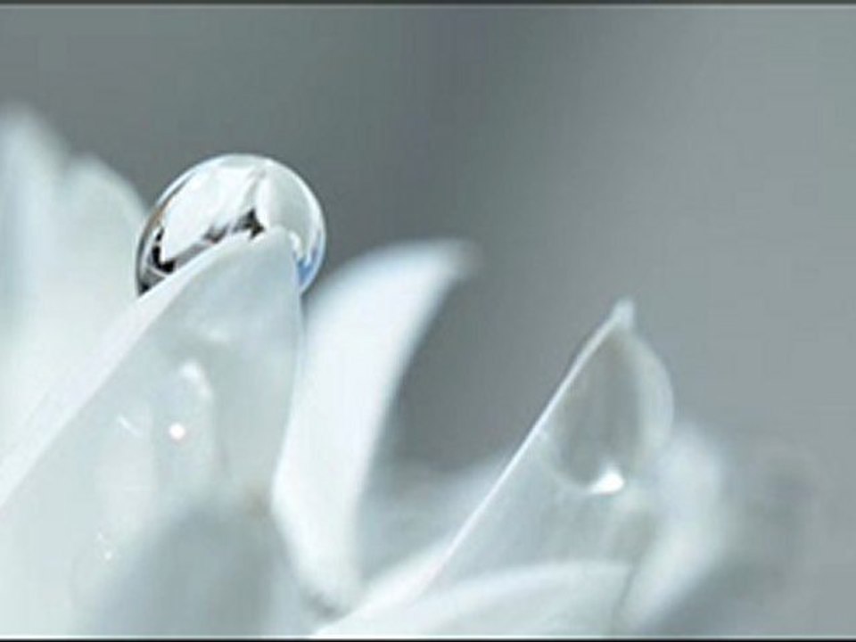 الأسئلة العراقية للشيخ عبدالمالك رمضاني حول مسئلة الدخول بالسياسة والبرلمانات