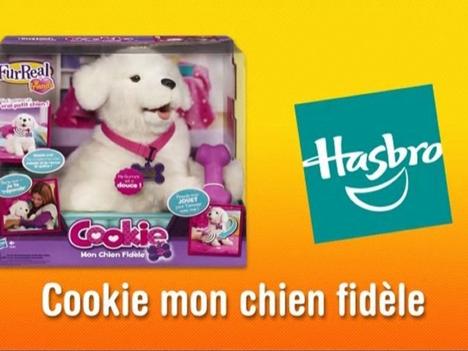 Cookie mon chien fidèle