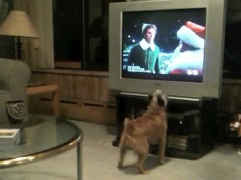 Le chien sauteur Vs. Père Noël à la TV