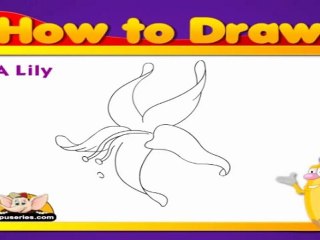 Learn to Draw Flower in Hindi - Lily