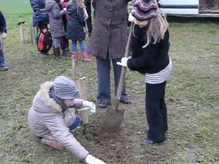 froissy : des arbres pour sauver la planète...