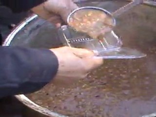 Tosya'da AŞURE GÜNÜ KUTLANDI