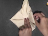Learn the Lotus Napkin Fold