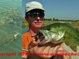 Pêche du black bass aux leurres souples Ecogear sur le Lez par Europêche34